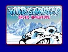 Wild Gambler 2: Arctic Adventure